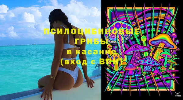 индика Верхний Тагил